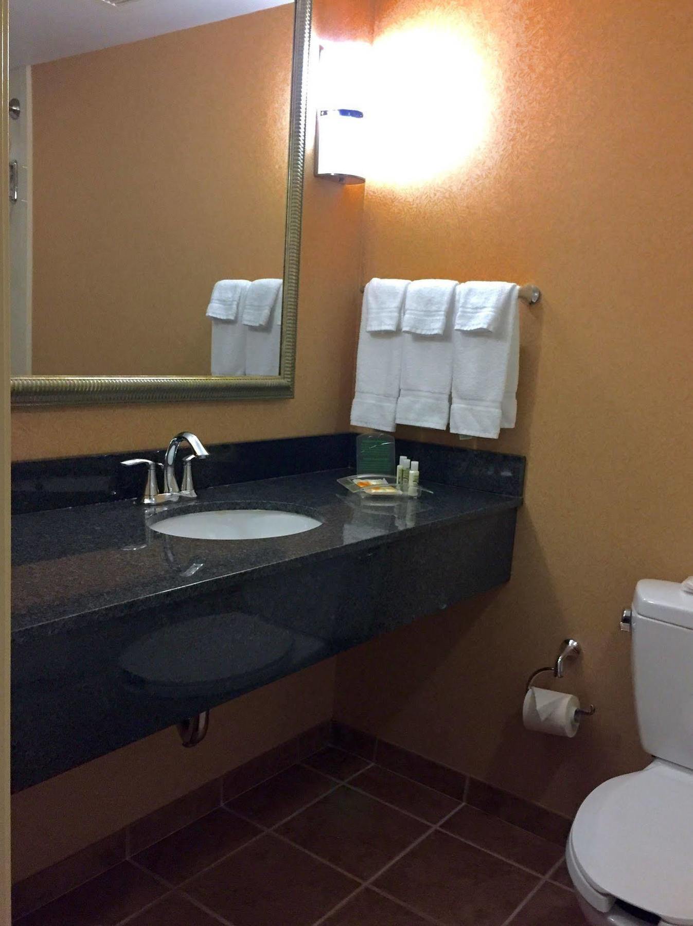 Holiday Inn Winchester Southeast-Historic Gateway By Ihg Bagian luar foto